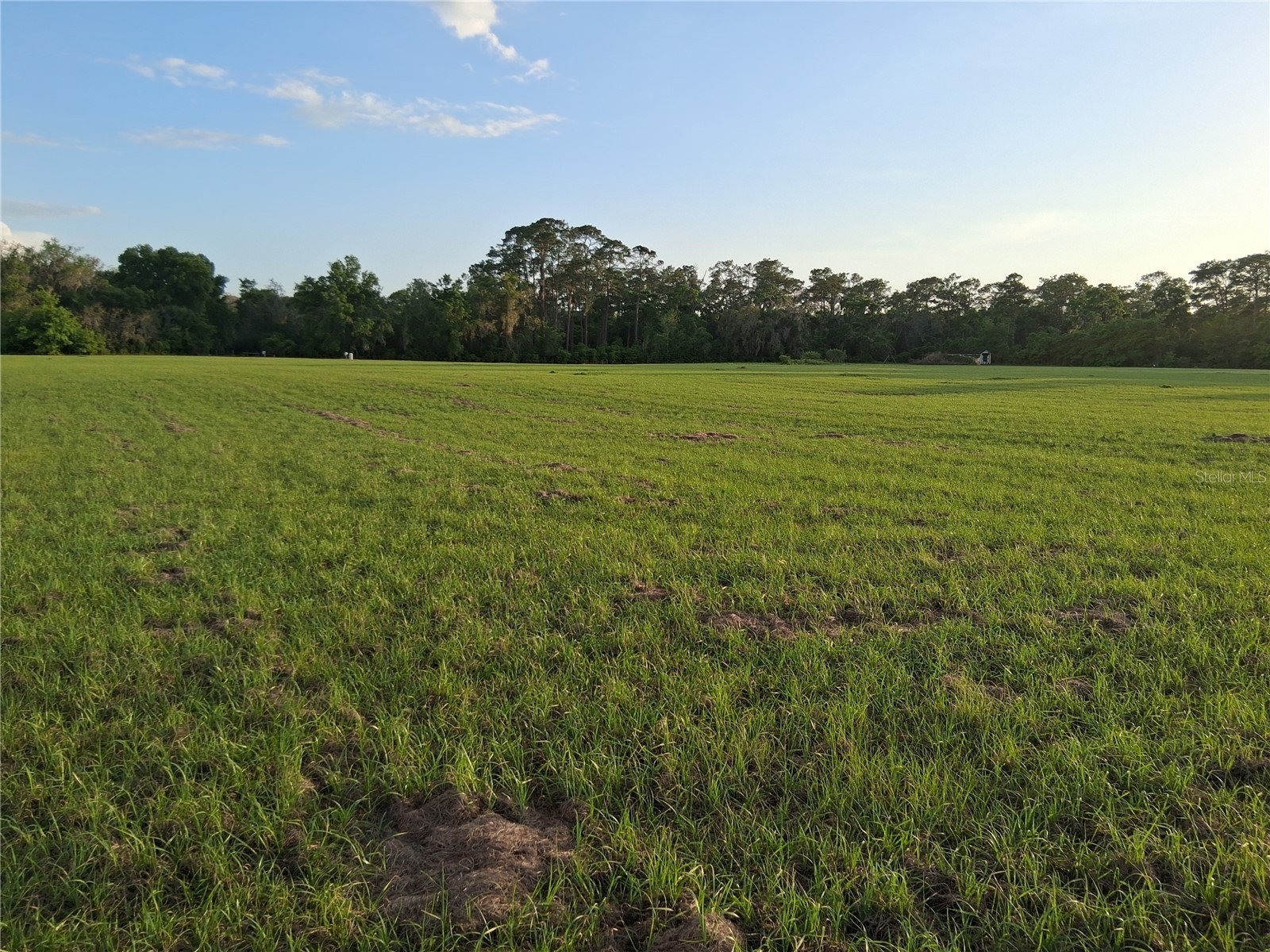 1613 NE 12th Avenue Sumterville FL 33585 G5110708 image16