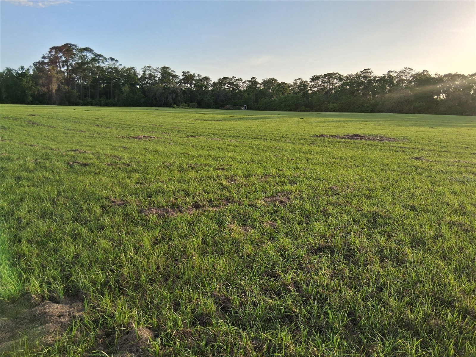 1613 NE 12th Avenue Sumterville FL 33585 G5110708 image17