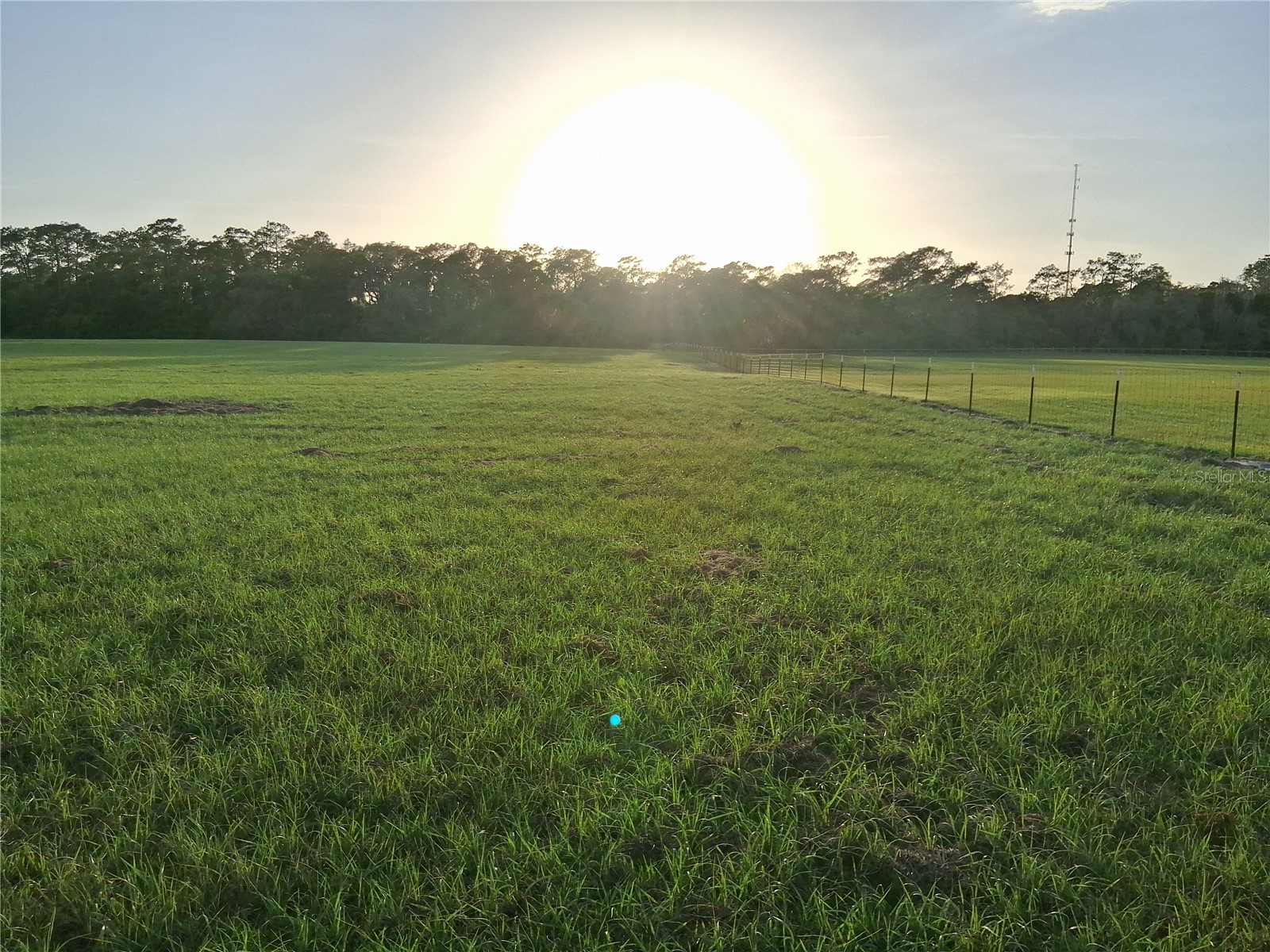 1613 NE 12th Avenue Sumterville FL 33585 G5110708 image18
