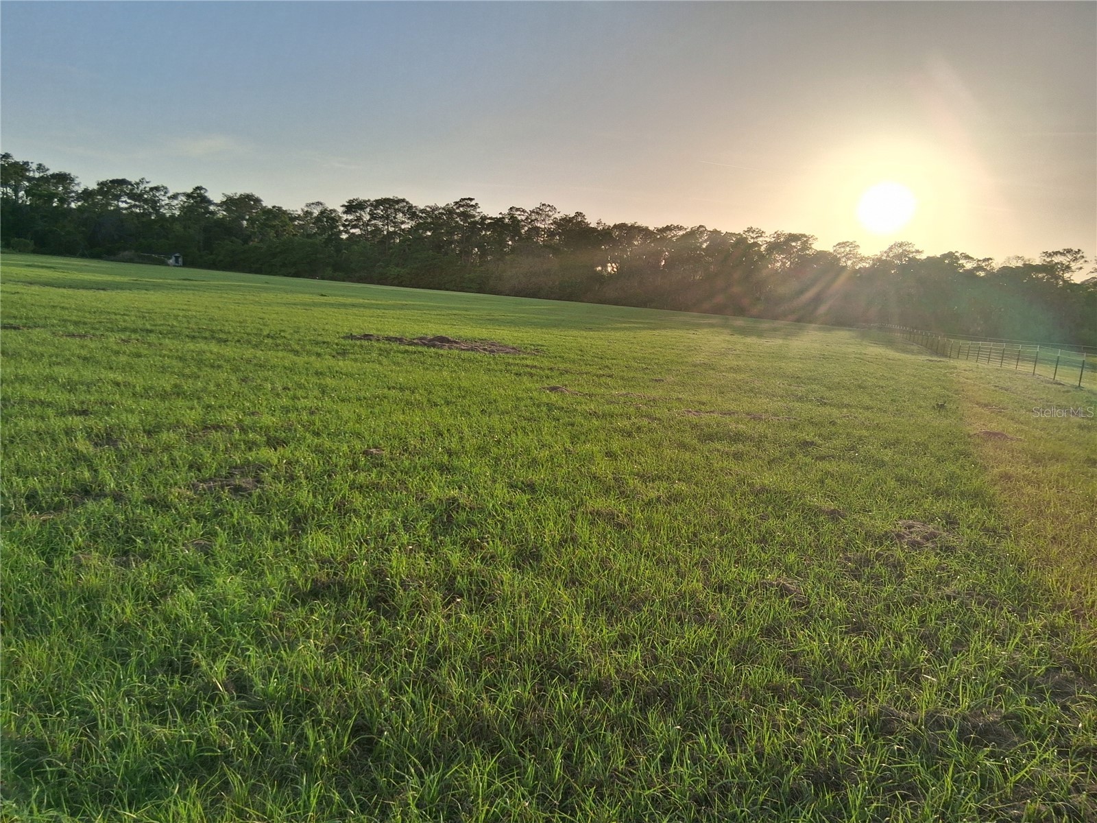 1613 NE 12th Avenue Sumterville FL 33585 G5110708 image19