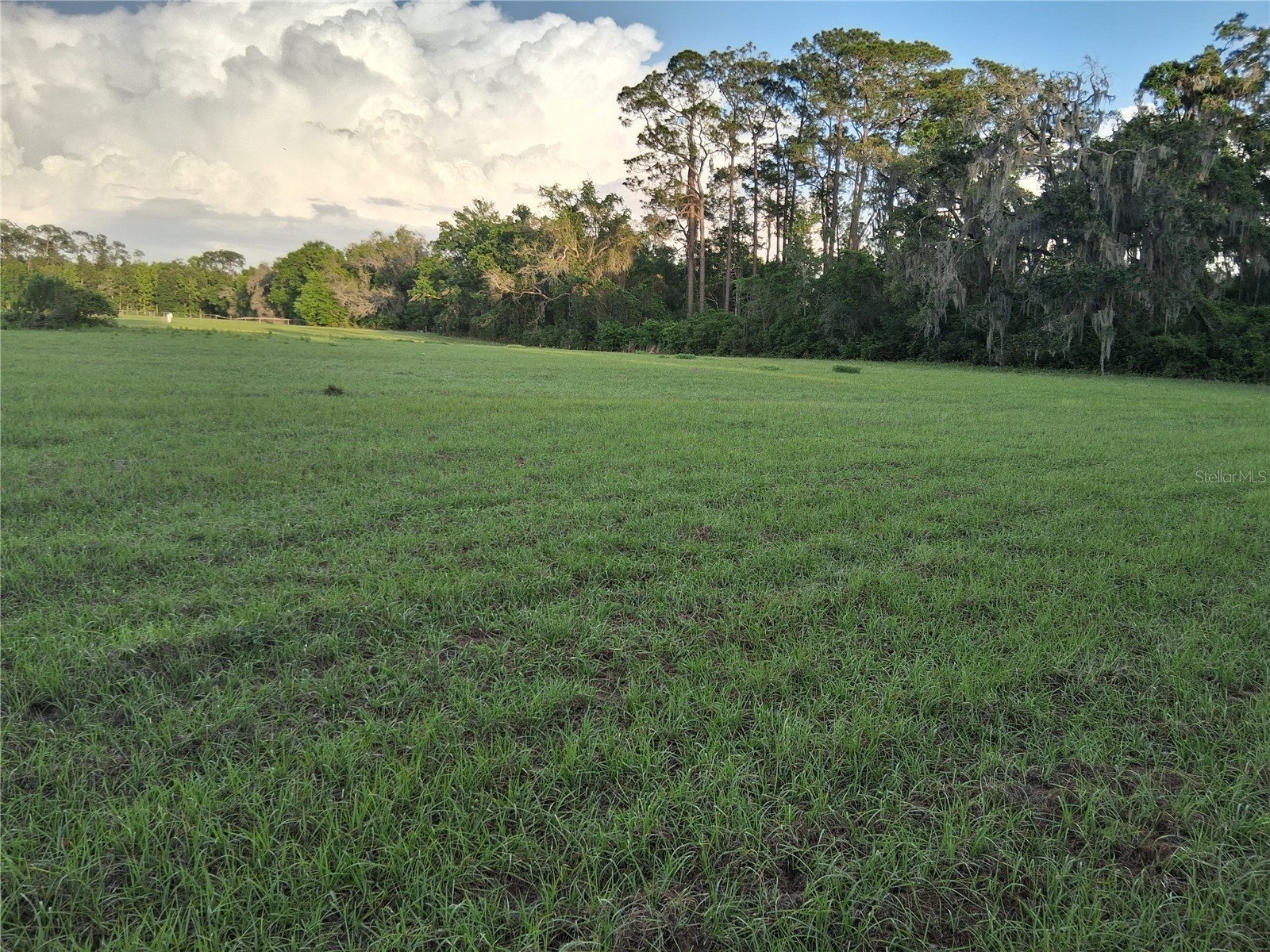 1613 NE 12th Avenue Sumterville FL 33585 G5110708 image2