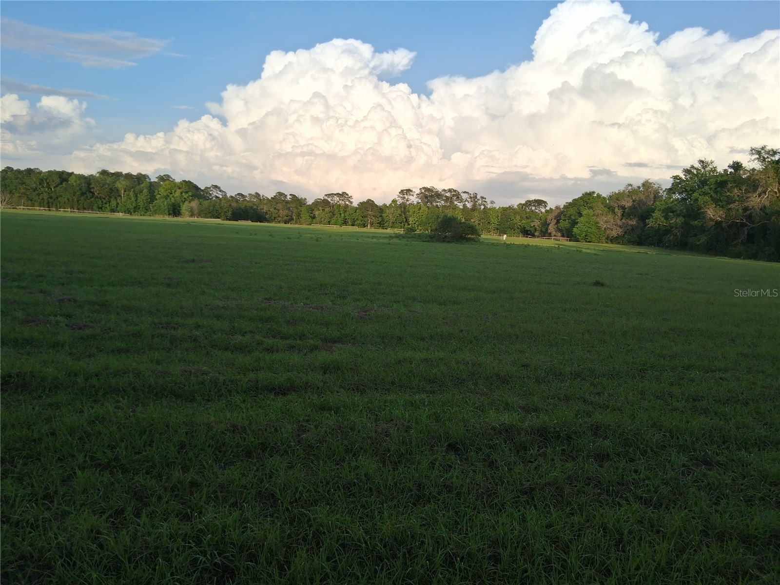 1613 NE 12th Avenue Sumterville FL 33585 G5110708 image6