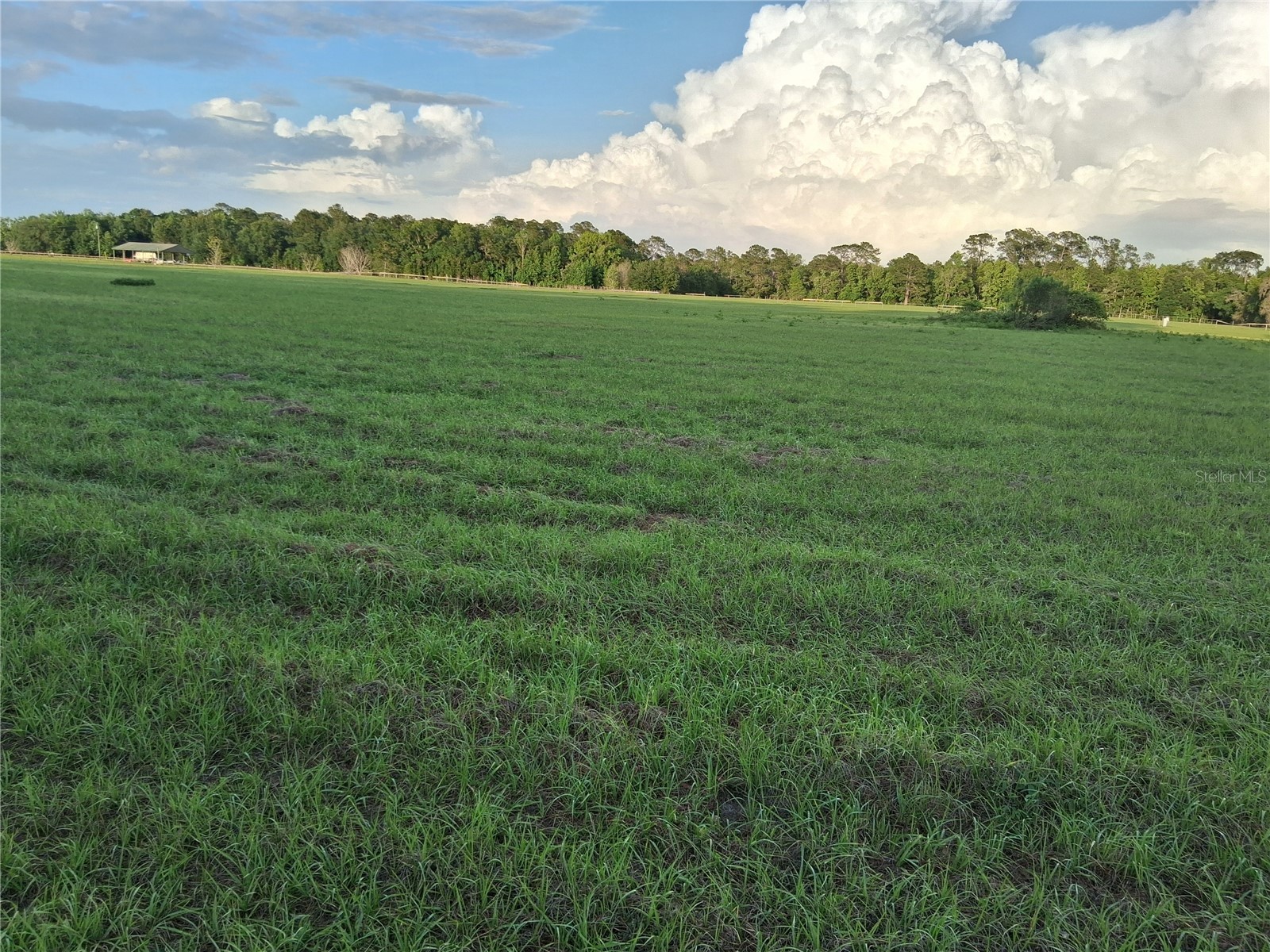 1613 NE 12th Avenue Sumterville FL 33585 G5110708 image7