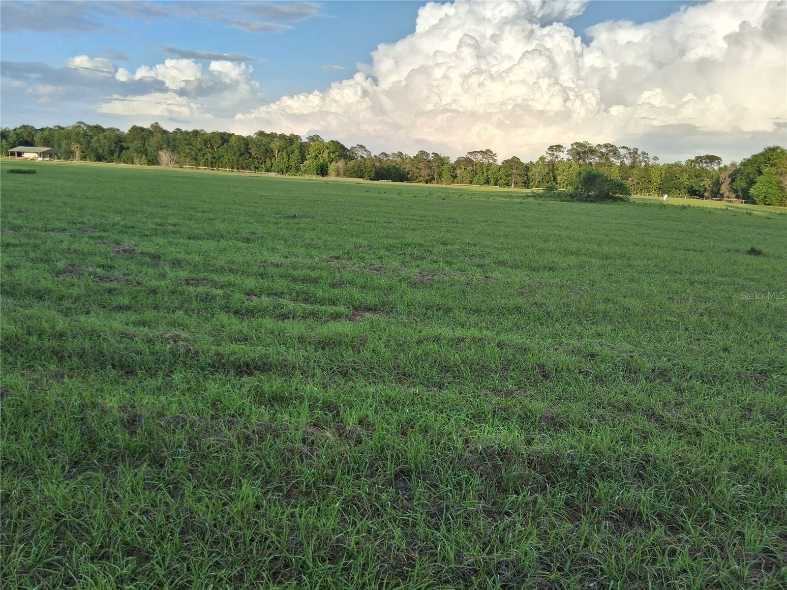 1613 NE 12th Avenue Sumterville FL 33585 G5110708 image8