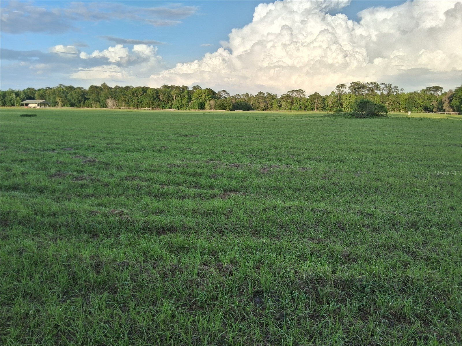 1613 NE 12th Avenue Sumterville FL 33585 G5110708 image9