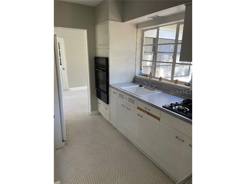 1613 Normandy Drive Mount Dora FL 32757 O6365963 image3