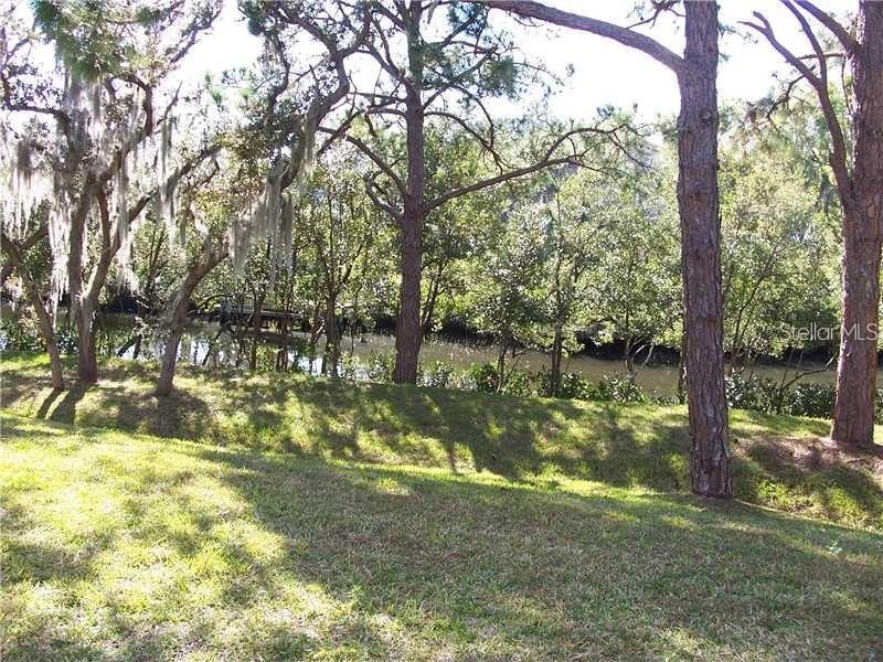 1613 Seascape Circle #1613 Tarpon Springs FL 34689 TB8404251 image11