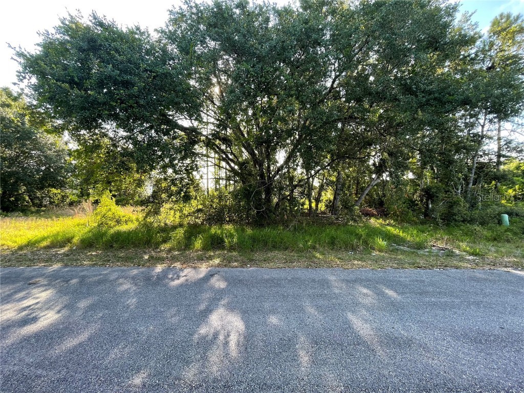 1613 Tench Court Poinciana FL 34759 T3531941 image1