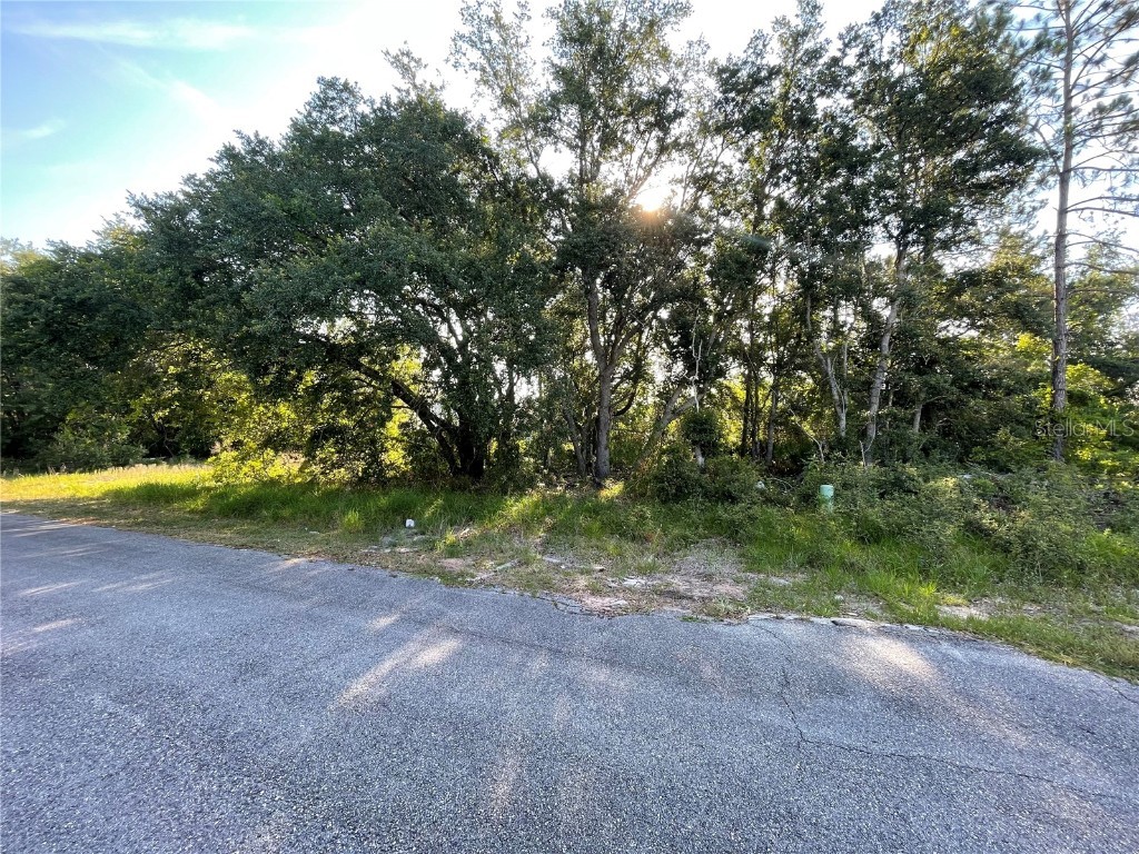 1613 Tench Court Poinciana FL 34759 T3531941 image3