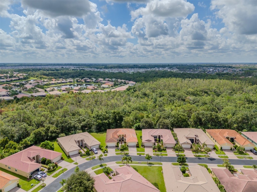 16130 Amethyst Key Drive Wimauma FL 33598 TB8416184 image39