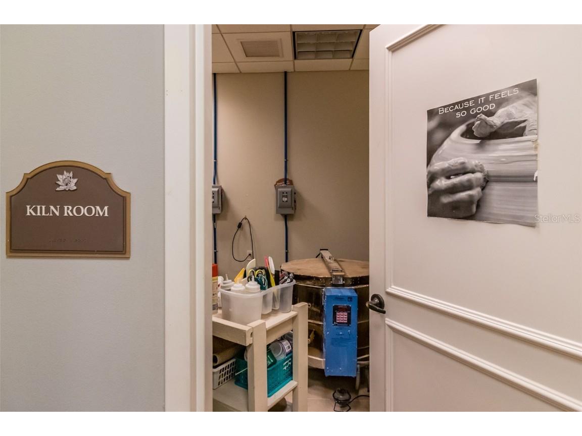 16130 Amethyst Key Drive Wimauma FL 33598 TB8416184 image79