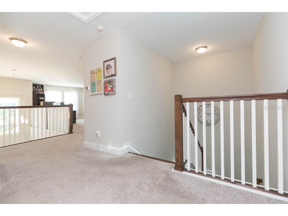 16130 Monterey Greens Circle Tampa FL 33647 A4674510 image18