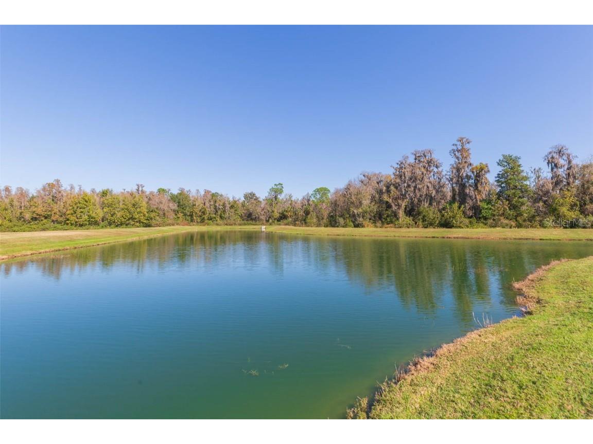 16130 Monterey Greens Circle Tampa FL 33647 A4674510 image35