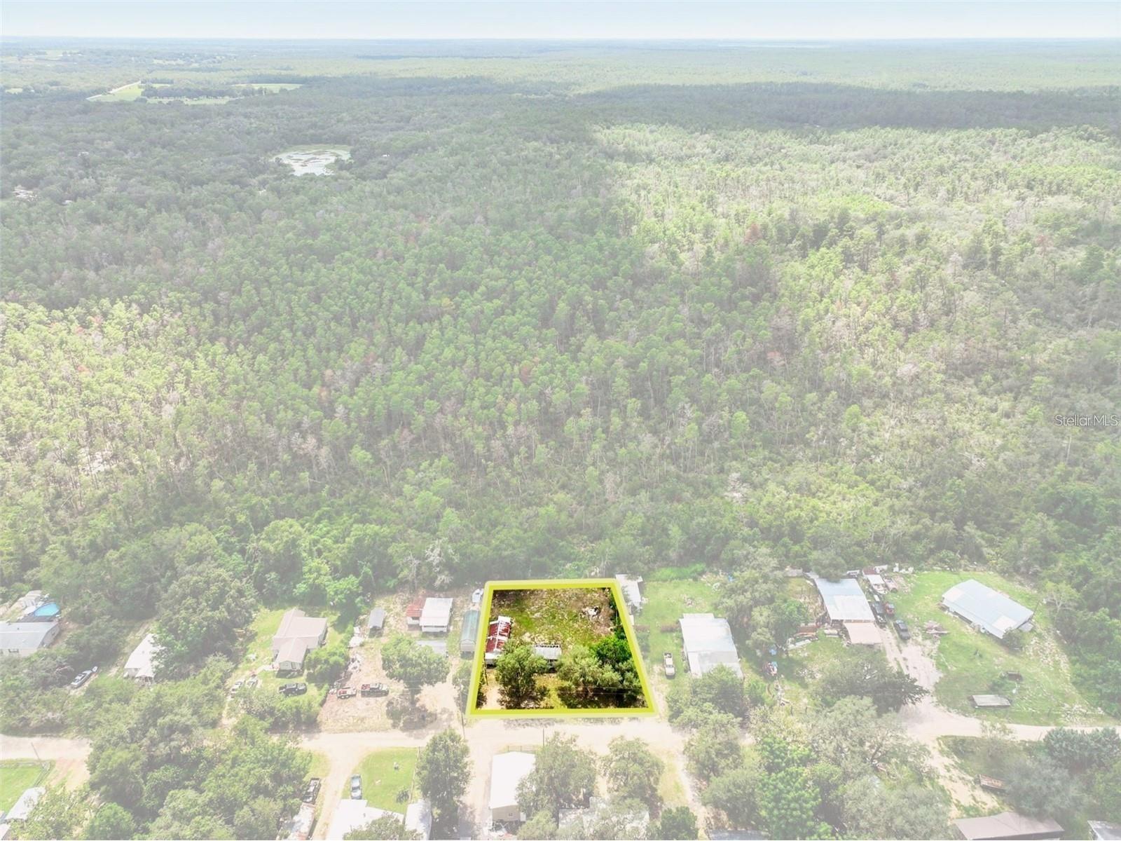 16130 SE 252nd Terrace Umatilla FL 32784 G5108890 image5