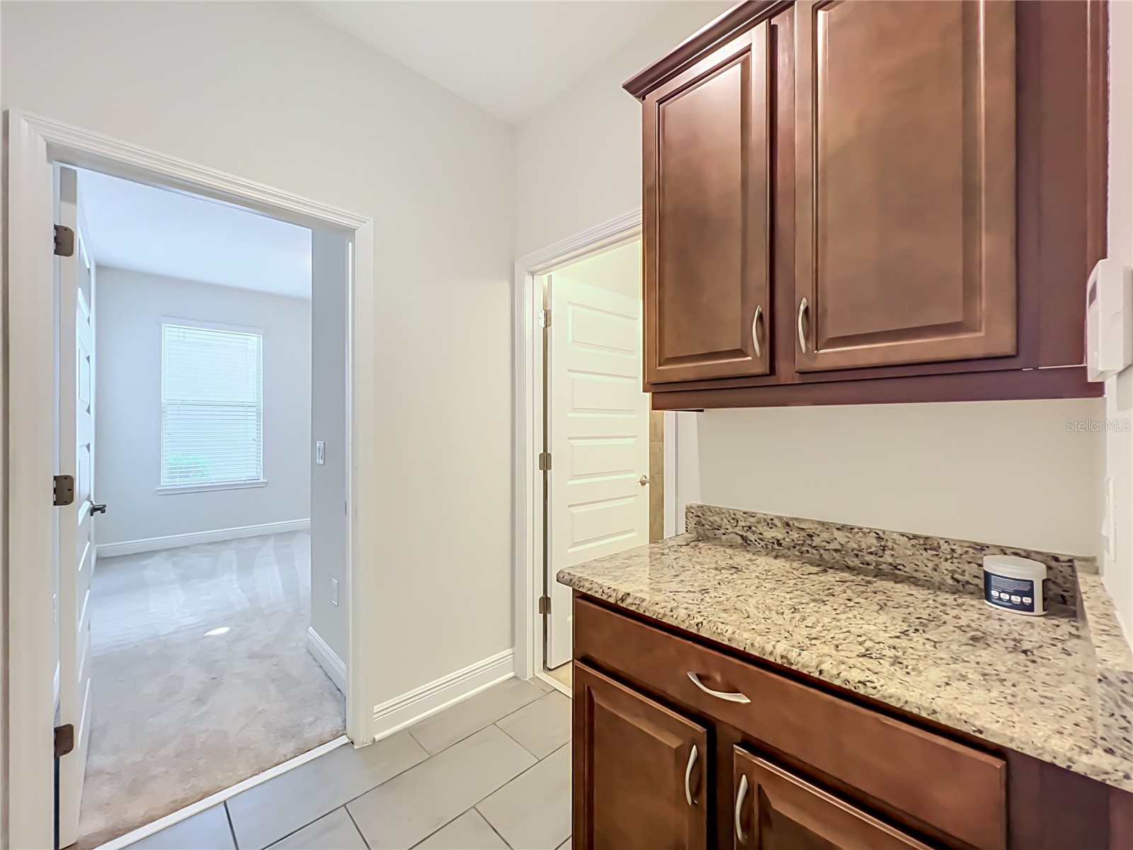 16130 Wind View Lane Winter Garden FL 34787 O6412051 image50