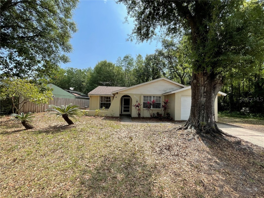 16131 Manorwood Circle Tampa FL 33624 T3442740 image1