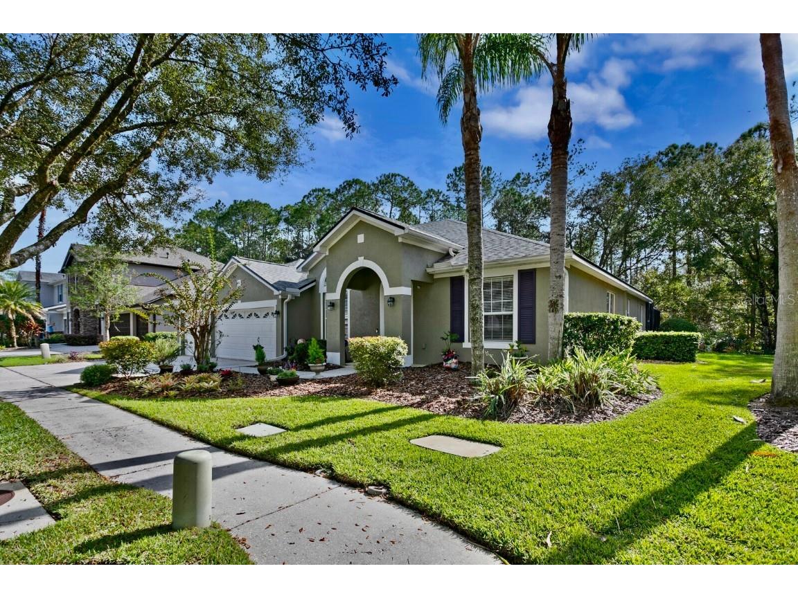 16132 Colchester Palms Drive Tampa FL 33647 T3487188 image1
