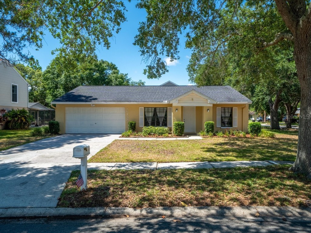 16132 Country Crossing Drive Tampa FL 33624 T3530696 image1