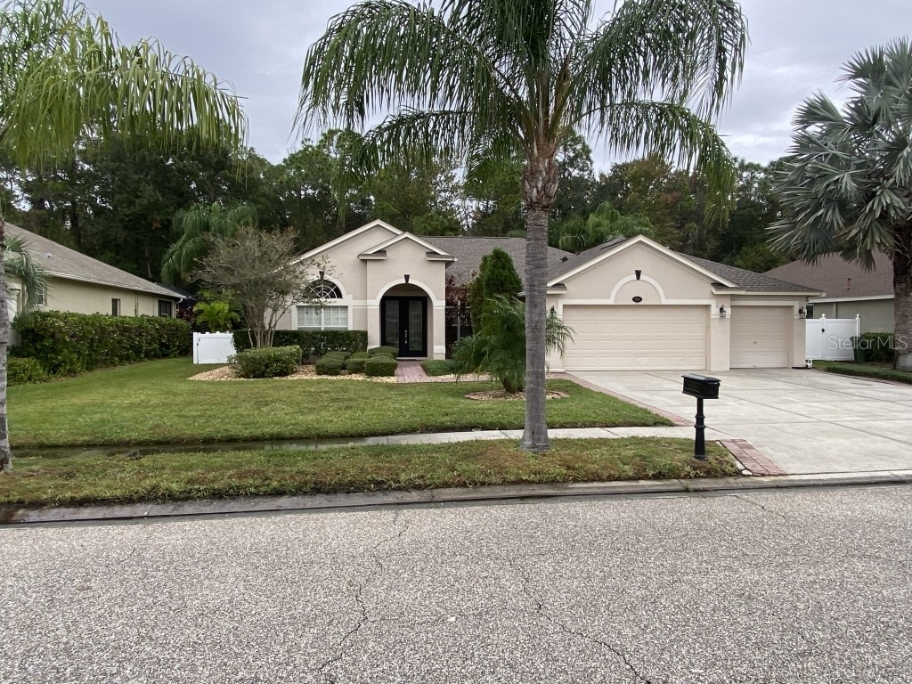 16132 Ivy Lake Drive Odessa FL 33556 T3485079 image1