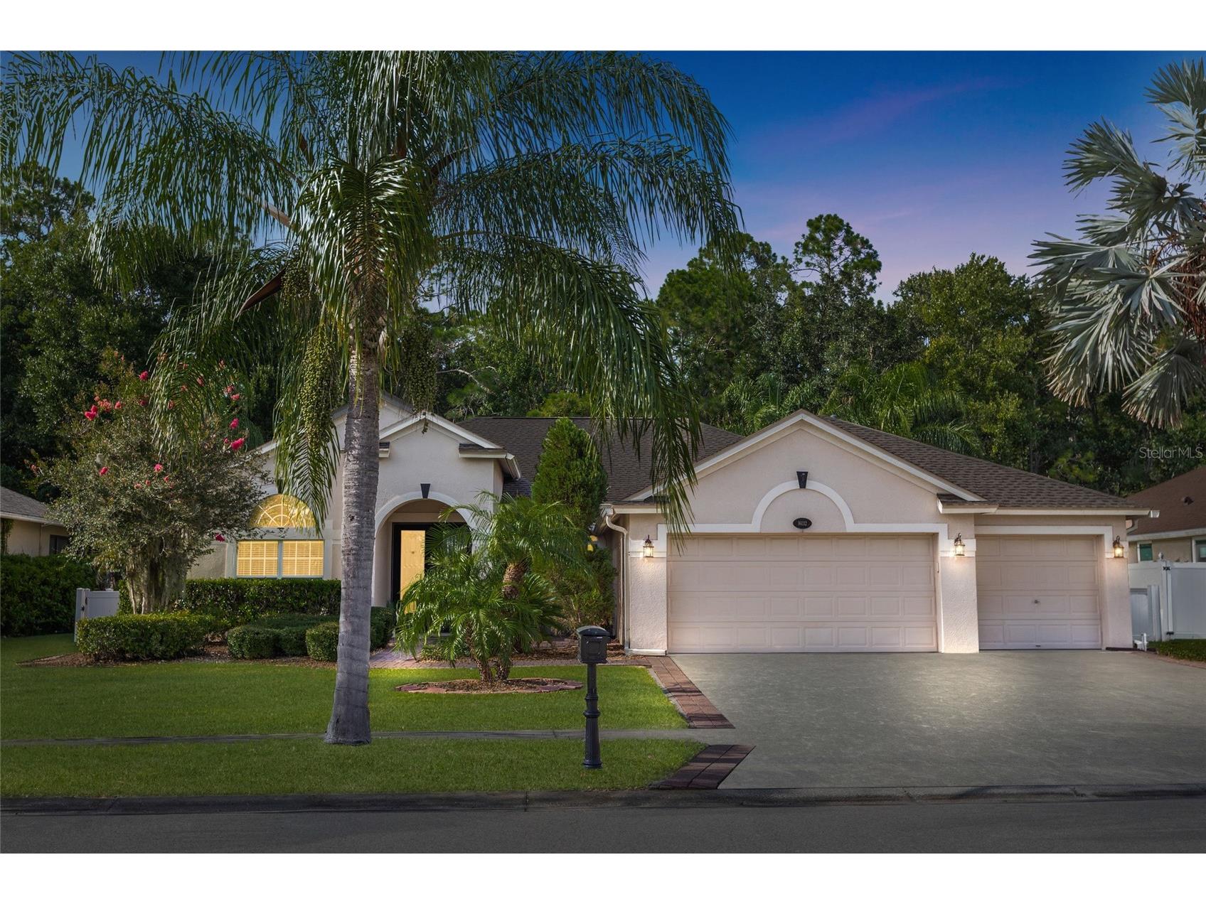 16132 Ivy Lake Drive Odessa FL 33556 TB8528968 image1