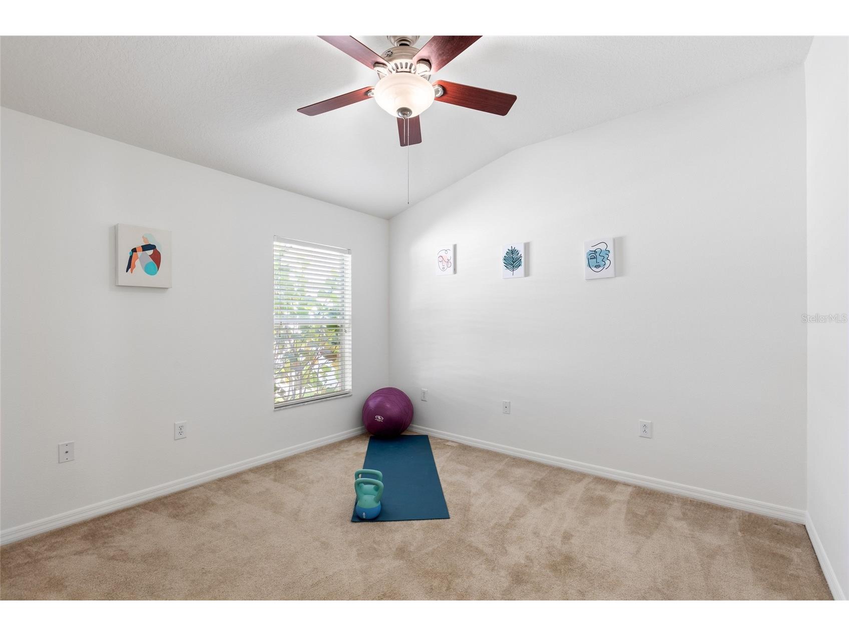16132 Ivy Lake Drive Odessa FL 33556 TB8528968 image25