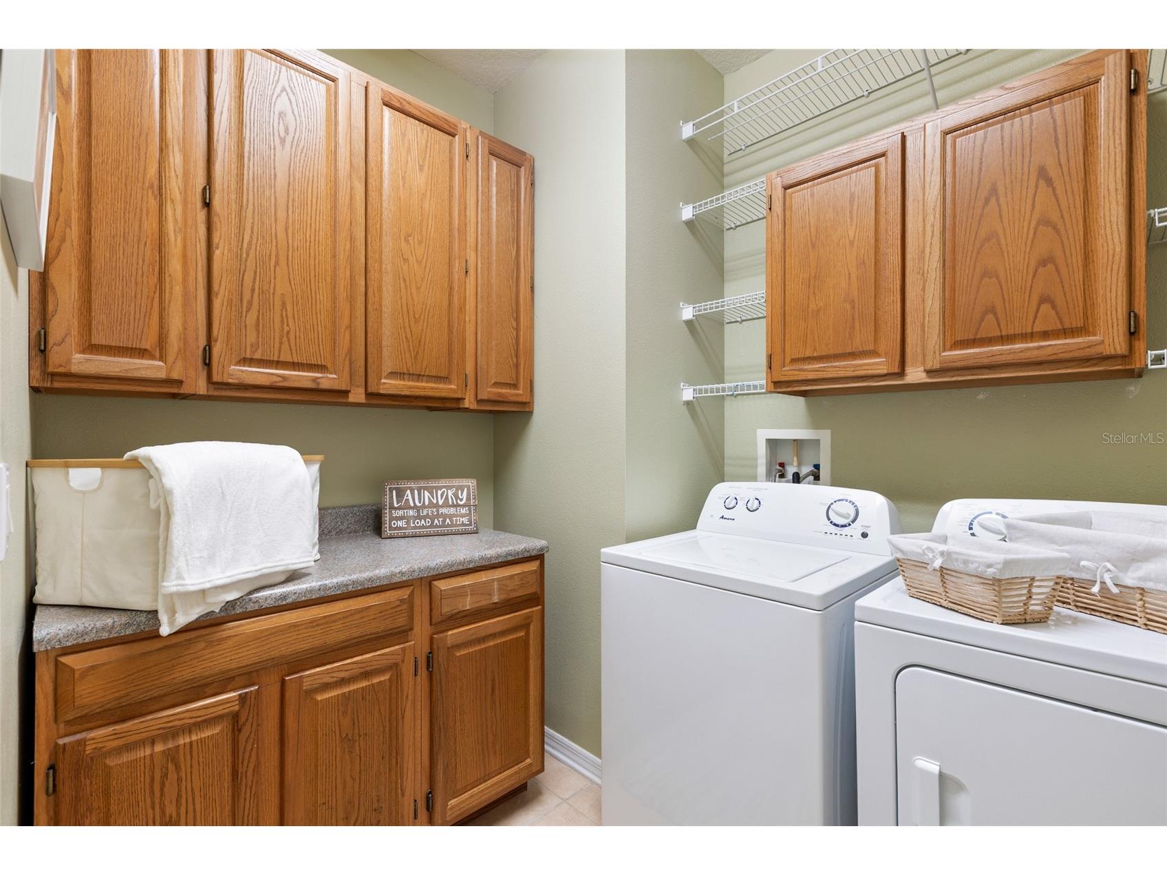 16132 Ivy Lake Drive Odessa FL 33556 TB8528968 image28