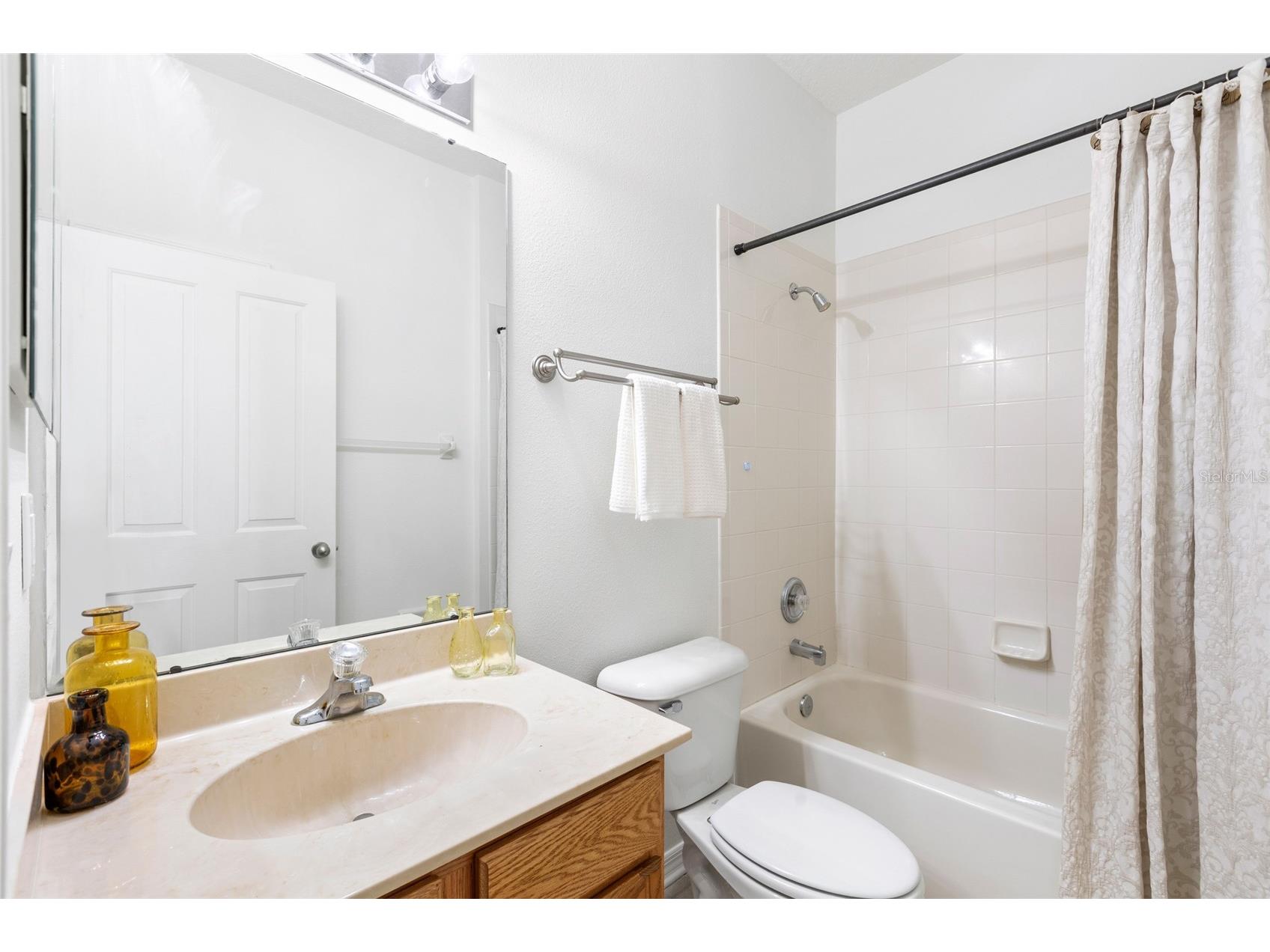 16132 Ivy Lake Drive Odessa FL 33556 TB8528968 image29