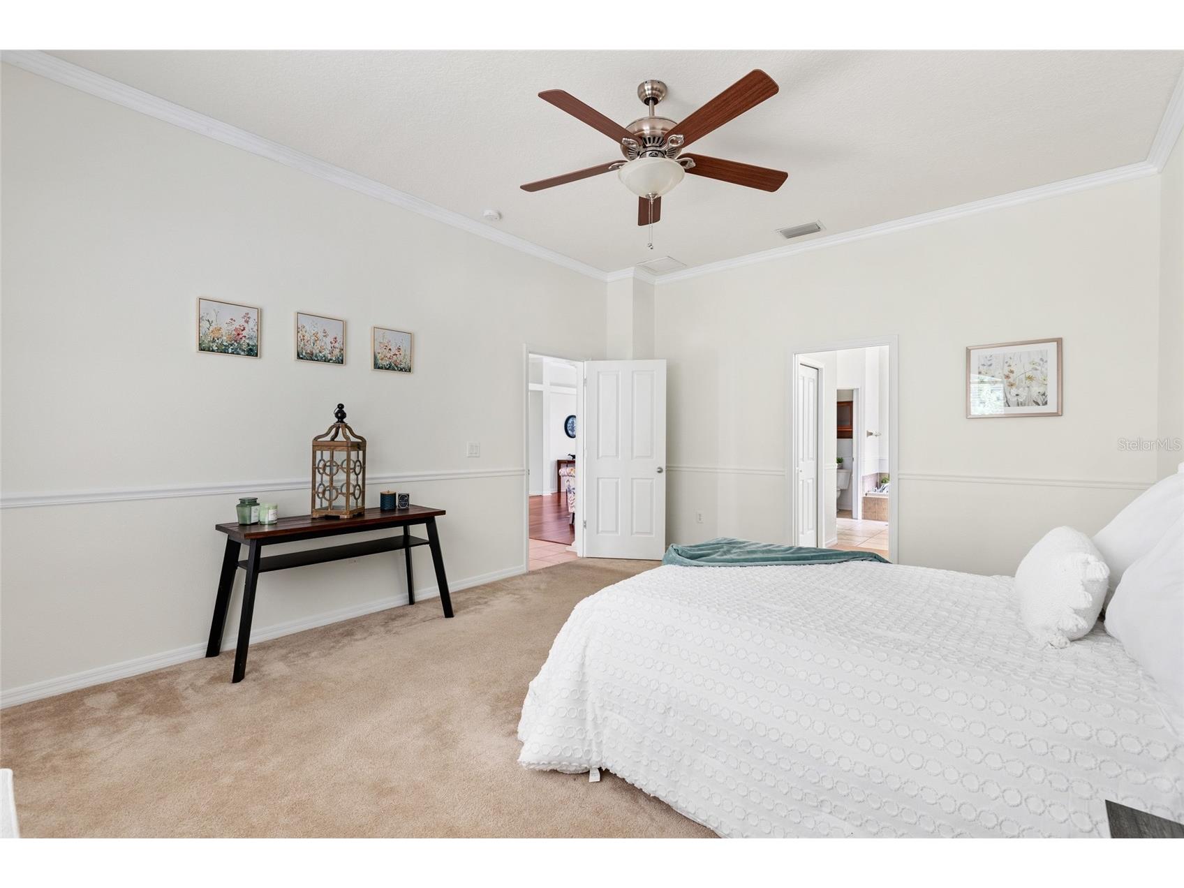 16132 Ivy Lake Drive Odessa FL 33556 TB8528968 image32