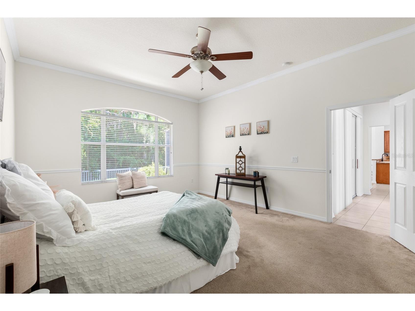 16132 Ivy Lake Drive Odessa FL 33556 TB8528968 image33