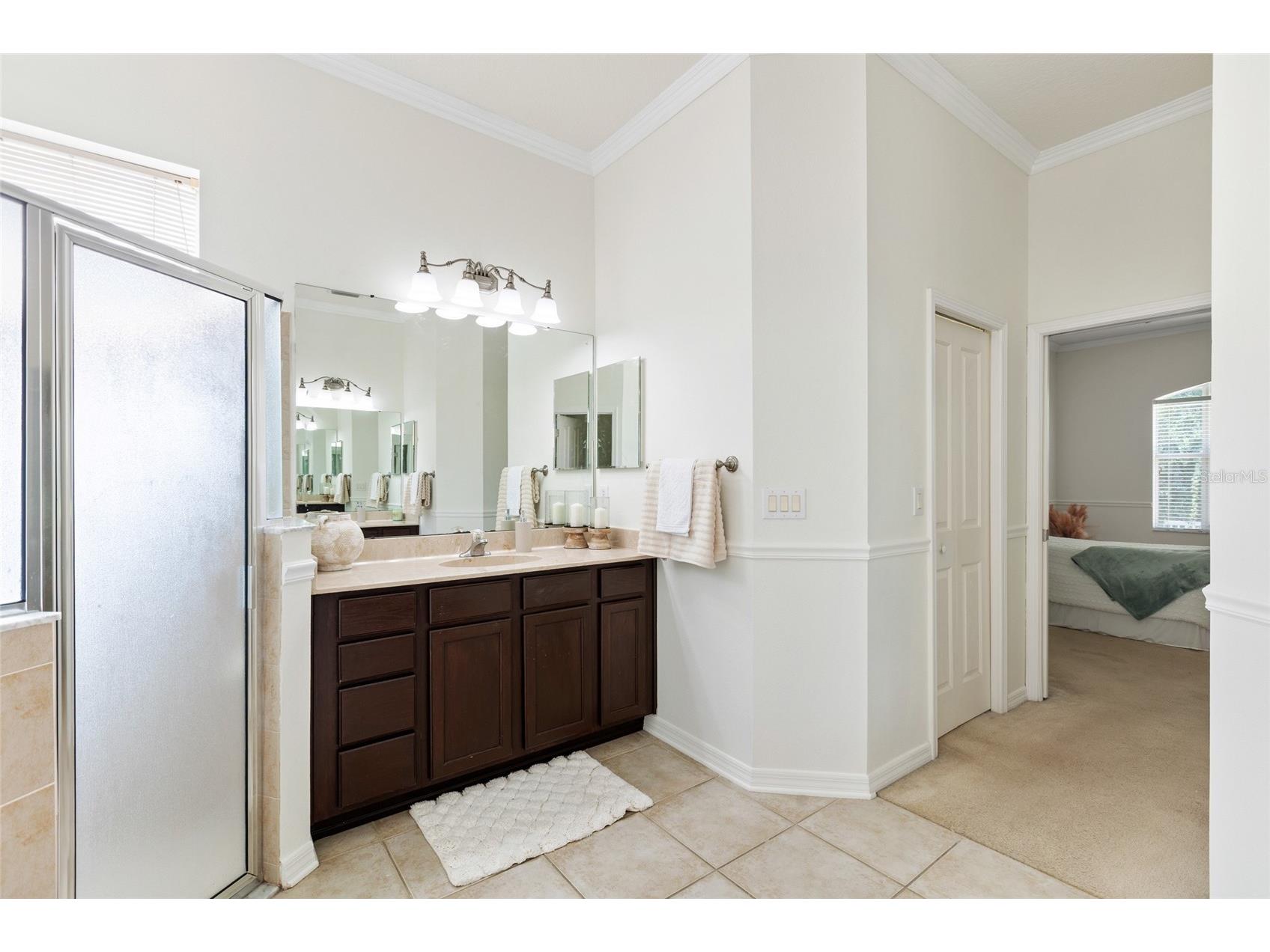 16132 Ivy Lake Drive Odessa FL 33556 TB8528968 image34