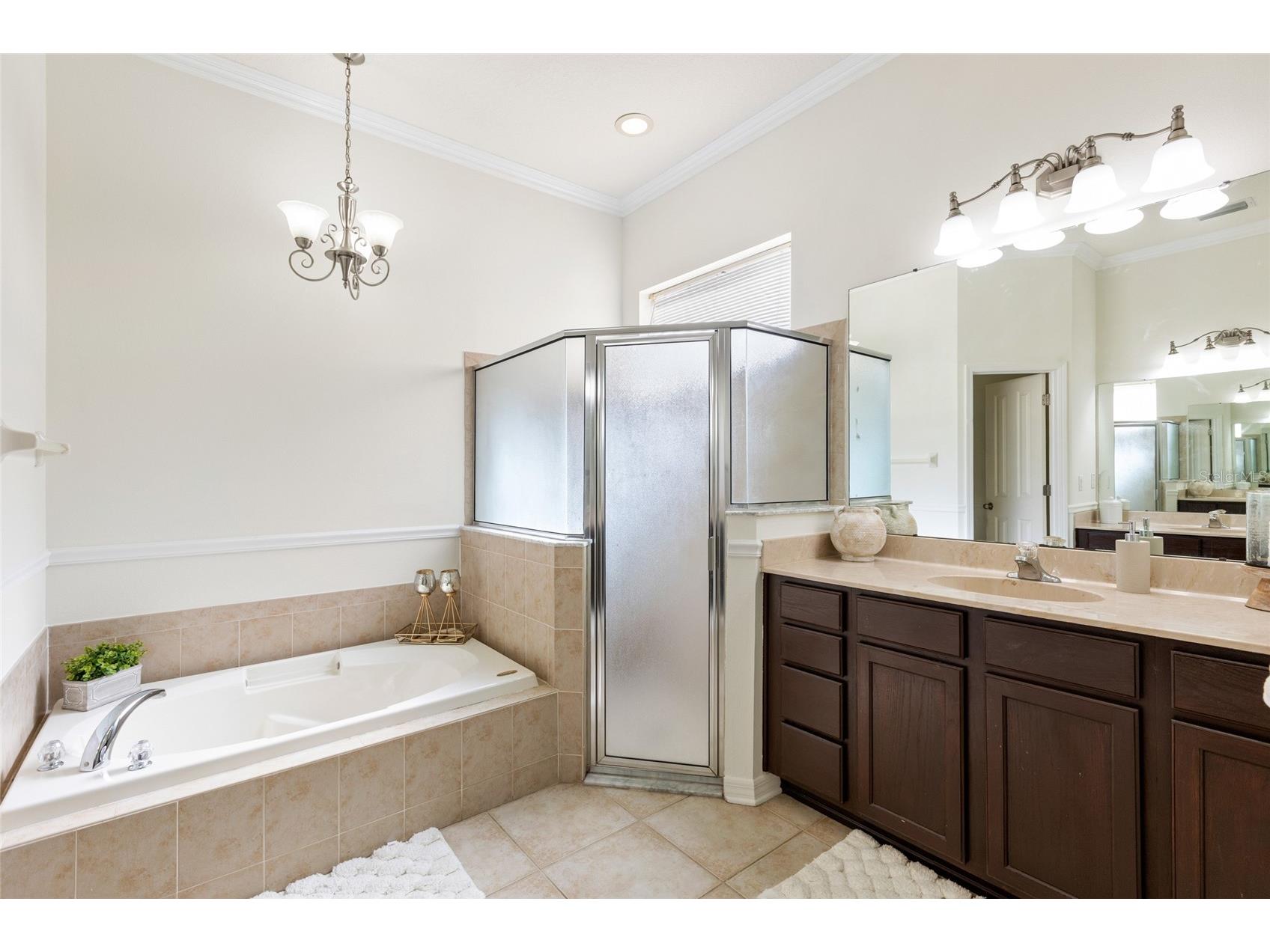 16132 Ivy Lake Drive Odessa FL 33556 TB8528968 image35