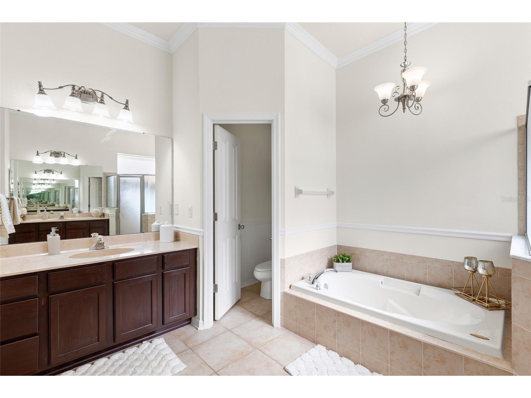 16132 Ivy Lake Drive Odessa FL 33556 TB8528968 image36
