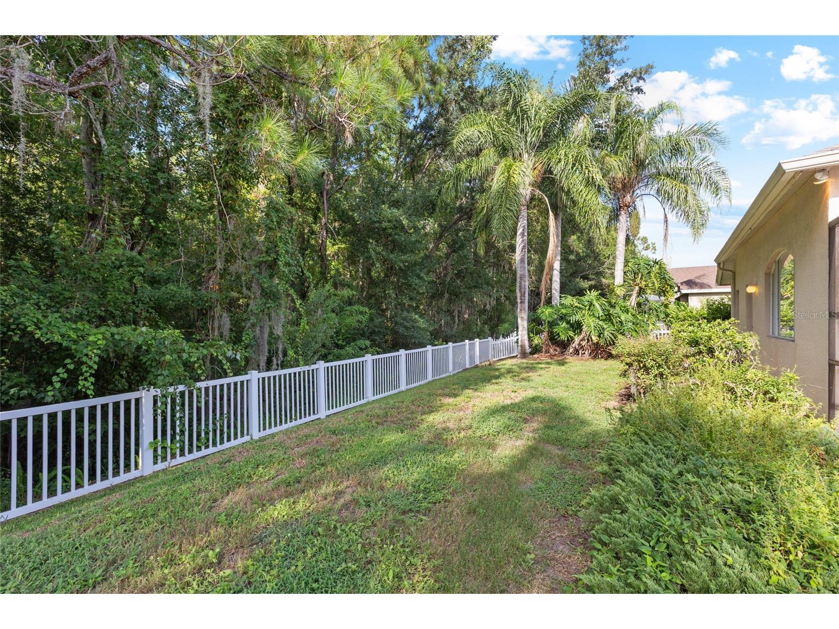 16132 Ivy Lake Drive Odessa FL 33556 TB8528968 image37