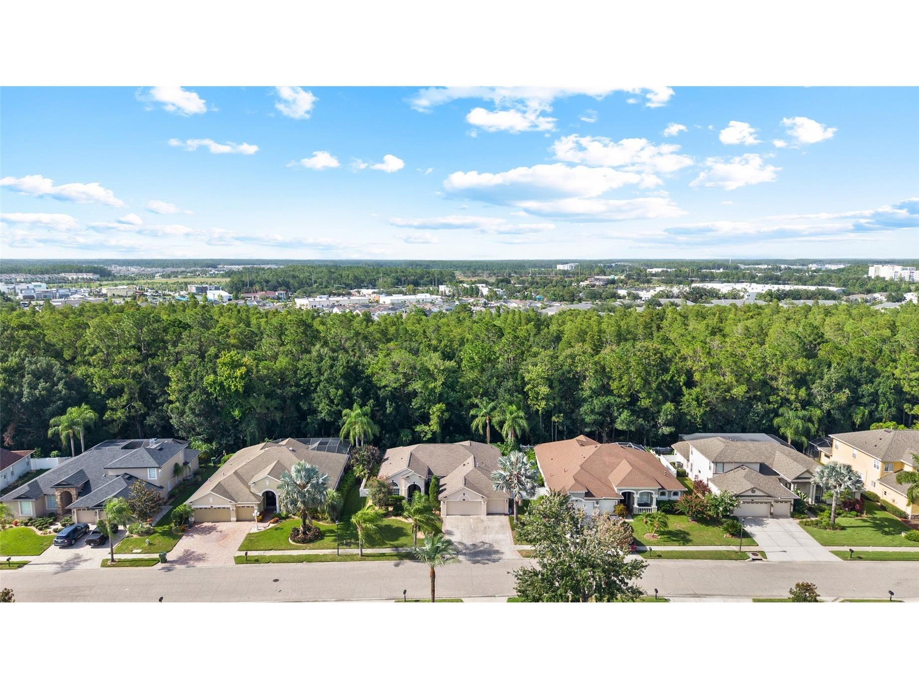 16132 Ivy Lake Drive Odessa FL 33556 TB8528968 image44
