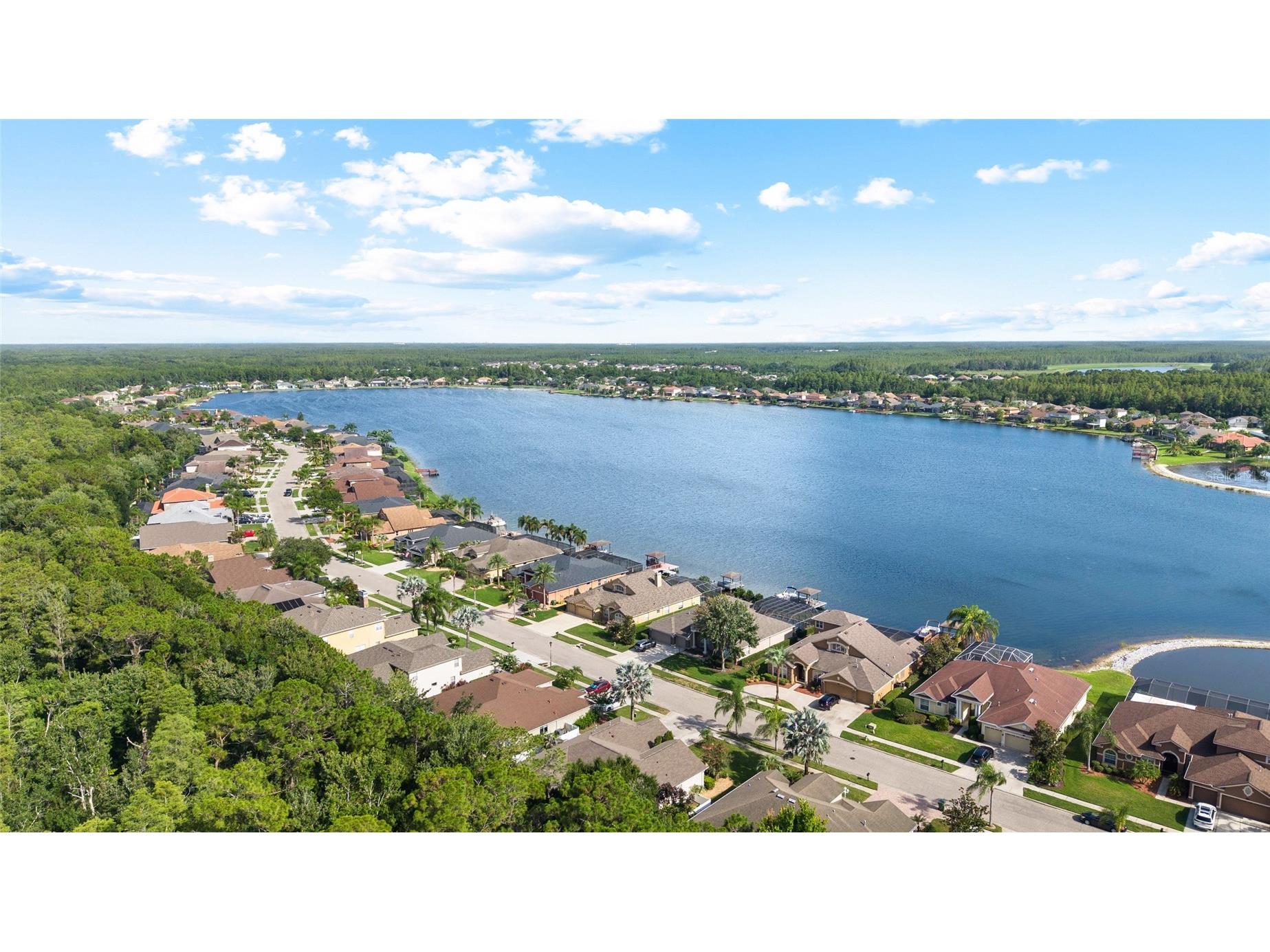 16132 Ivy Lake Drive Odessa FL 33556 TB8528968 image46