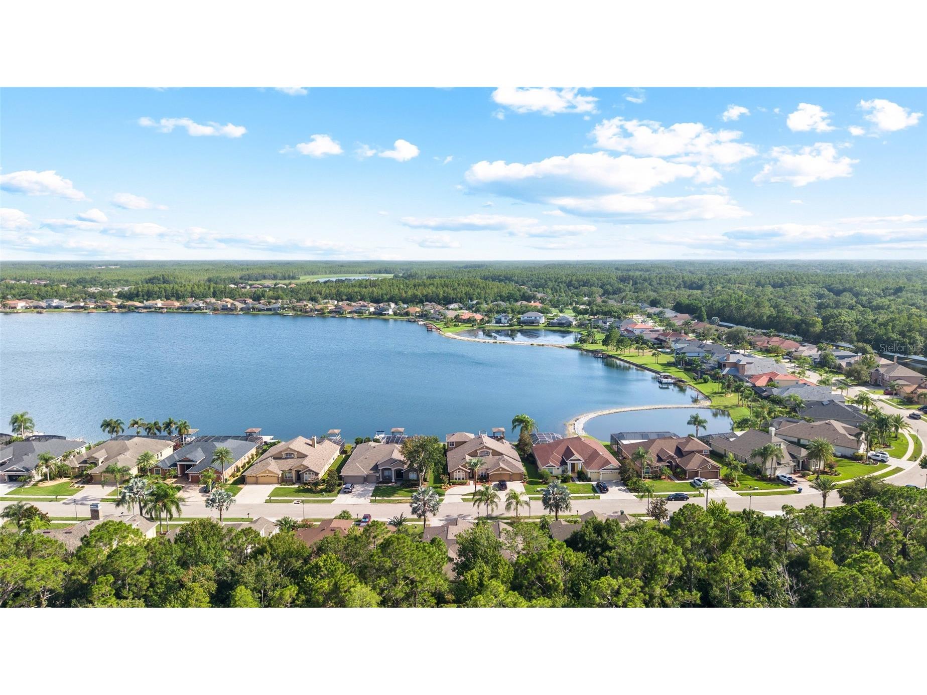 16132 Ivy Lake Drive Odessa FL 33556 TB8528968 image48
