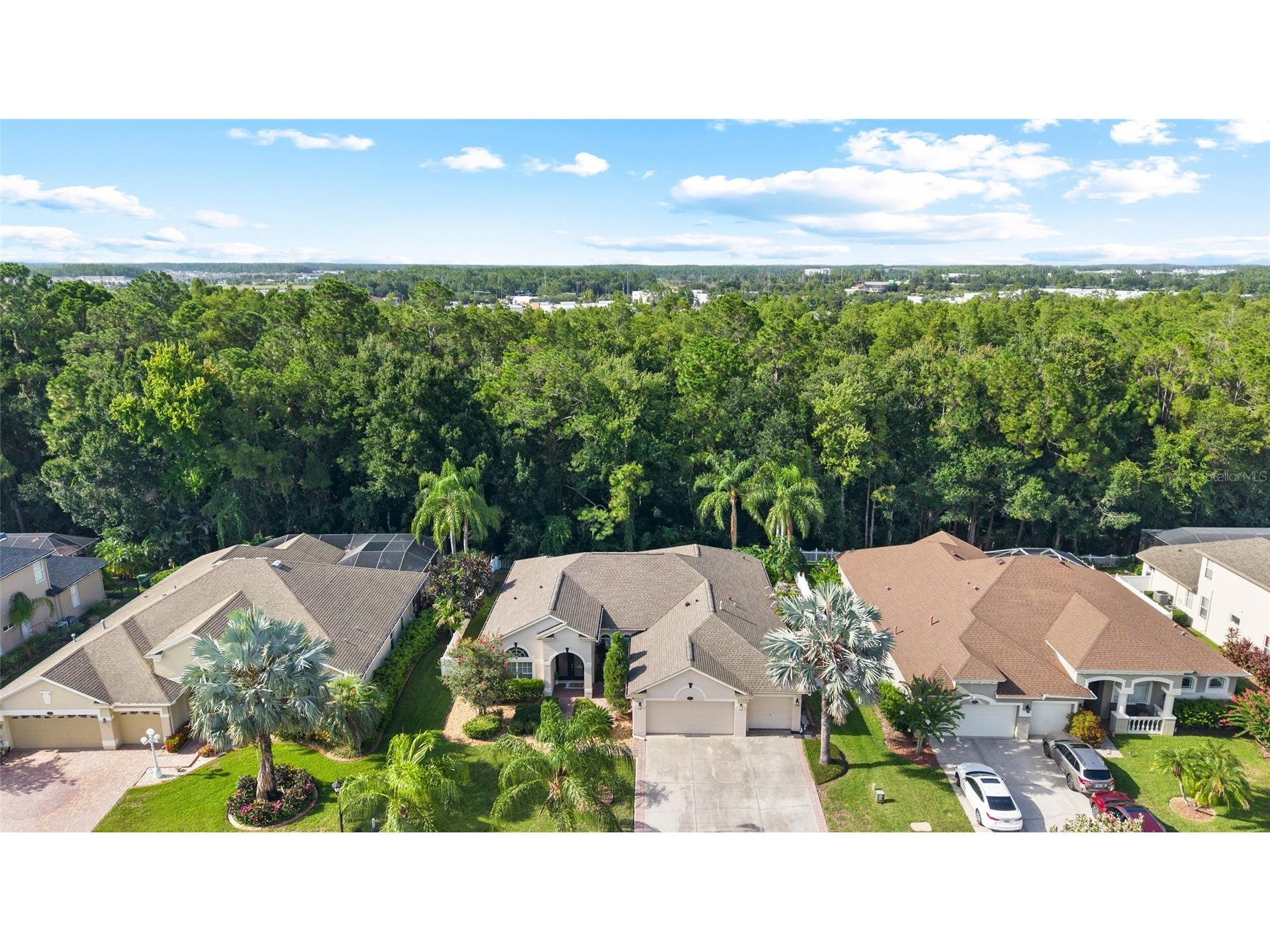 16132 Ivy Lake Drive Odessa FL 33556 TB8528968 image55
