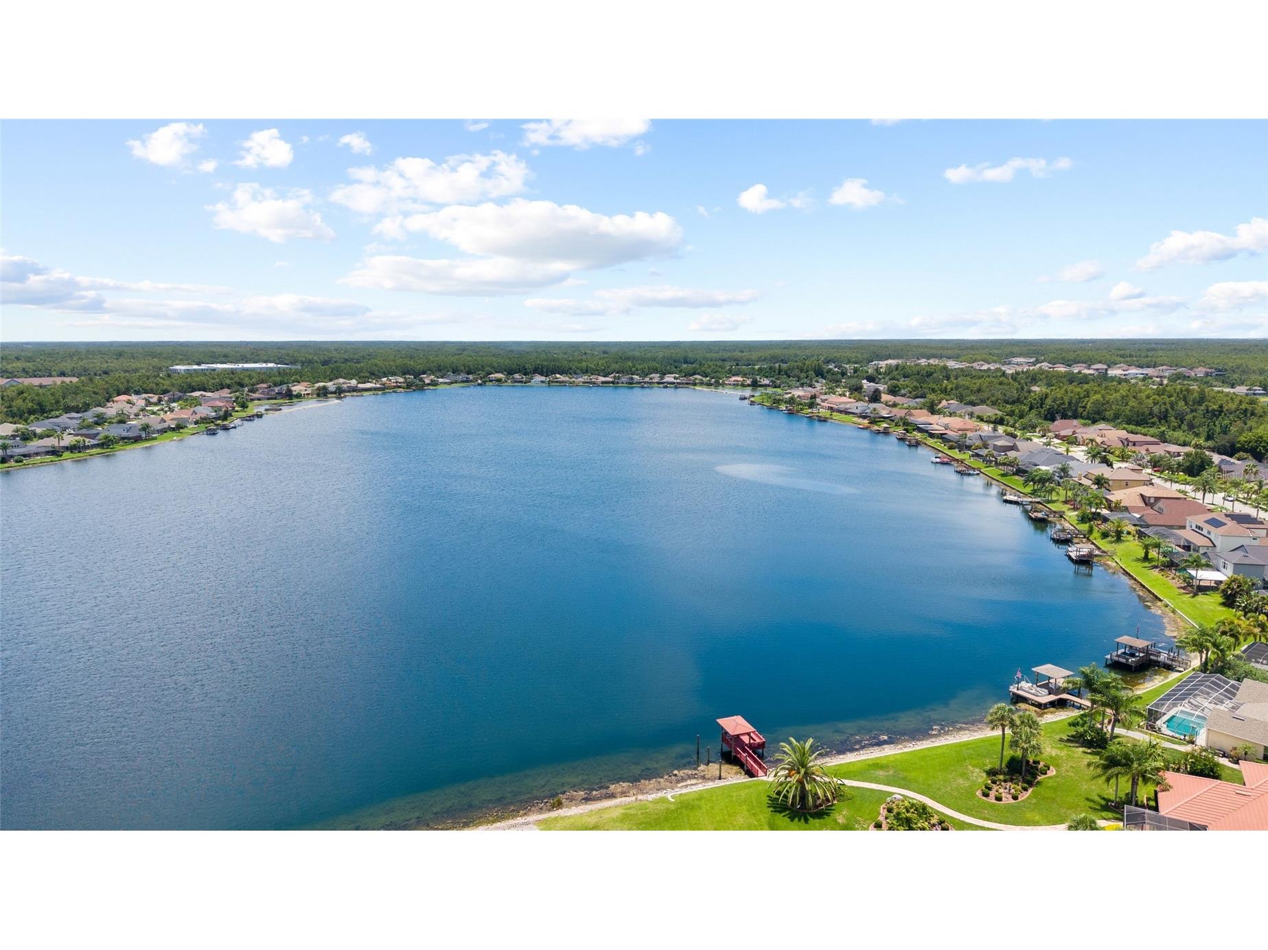 16132 Ivy Lake Drive Odessa FL 33556 TB8528968 image59