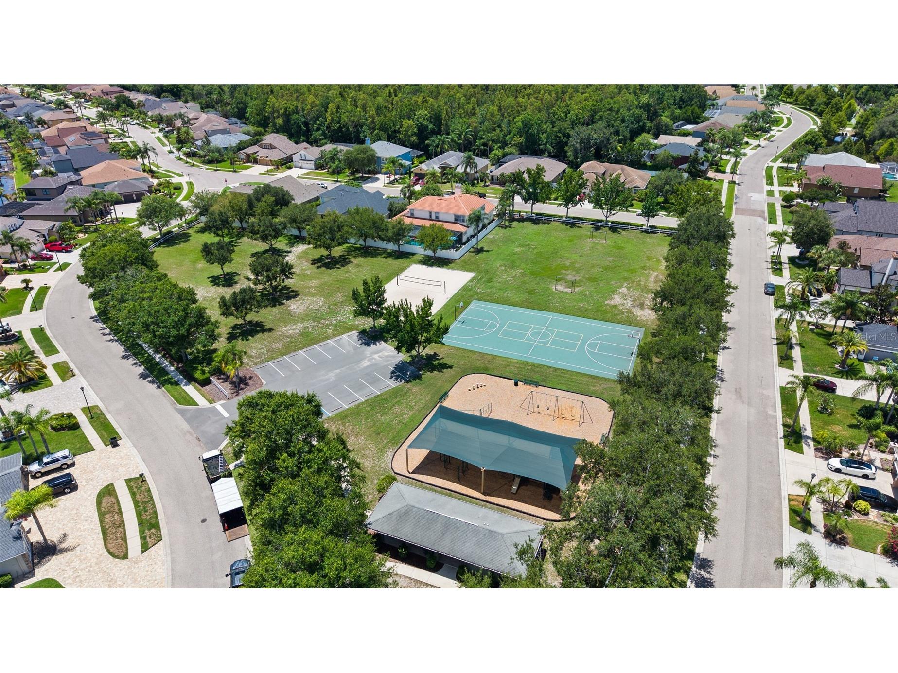 16132 Ivy Lake Drive Odessa FL 33556 TB8528968 image60