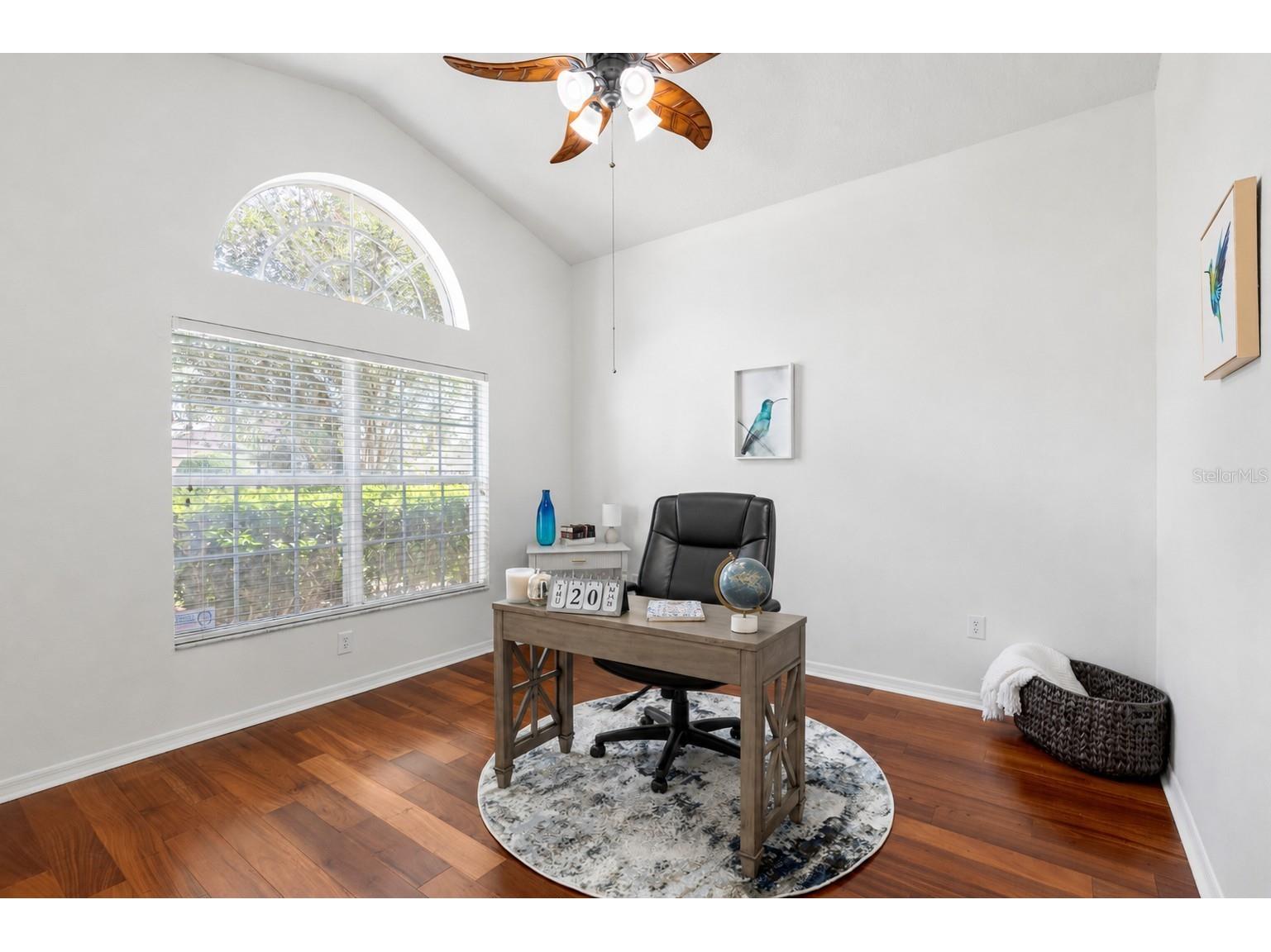 16132 Ivy Lake Drive Odessa FL 33556 TB8528968 image7