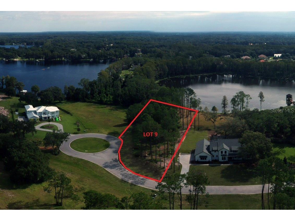 16133 Carencia Lane Odessa FL 33556 - LAKE POLITZ T3347906 image1