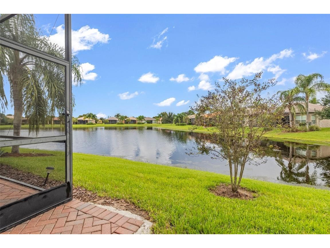 16133 Coquina Bay Lane Wimauma FL 33598 A4664488 image44