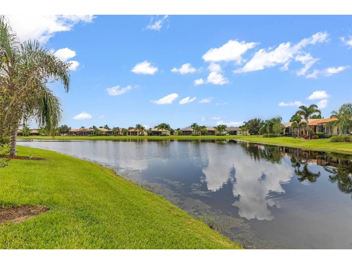 16133 Coquina Bay Lane Wimauma FL 33598 A4664488 image45