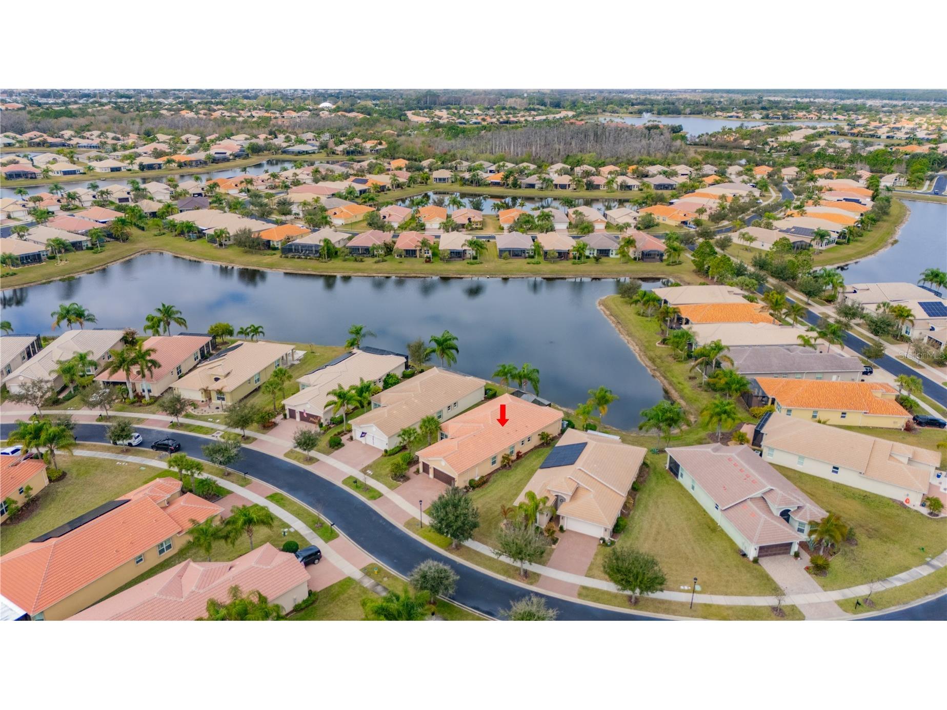 16133 Coquina Bay Lane Wimauma FL 33598 TB8480459 image37