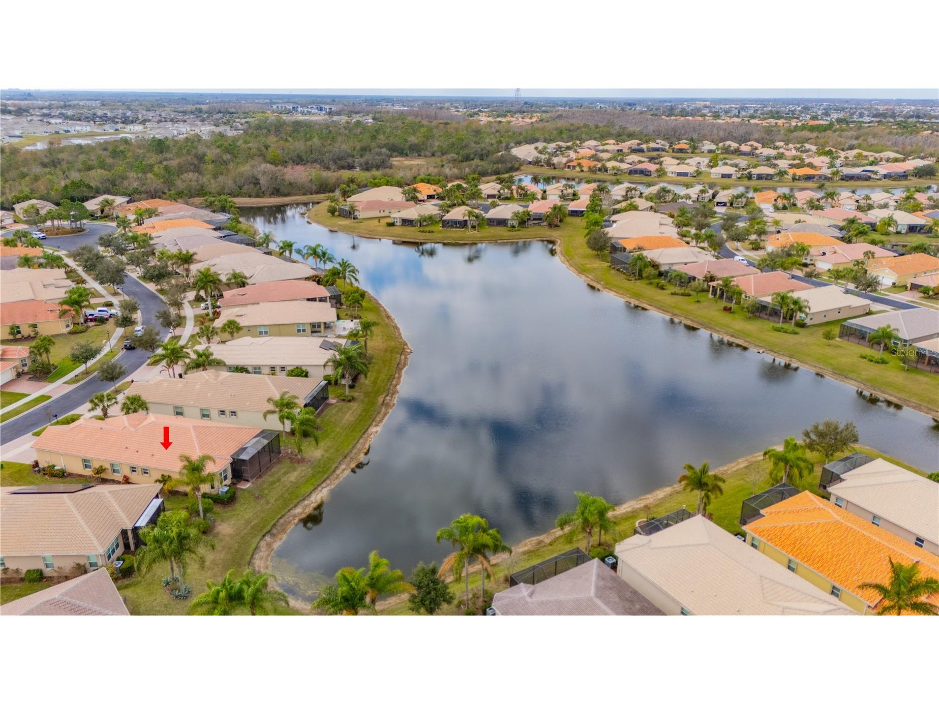 16133 Coquina Bay Lane Wimauma FL 33598 TB8480459 image4