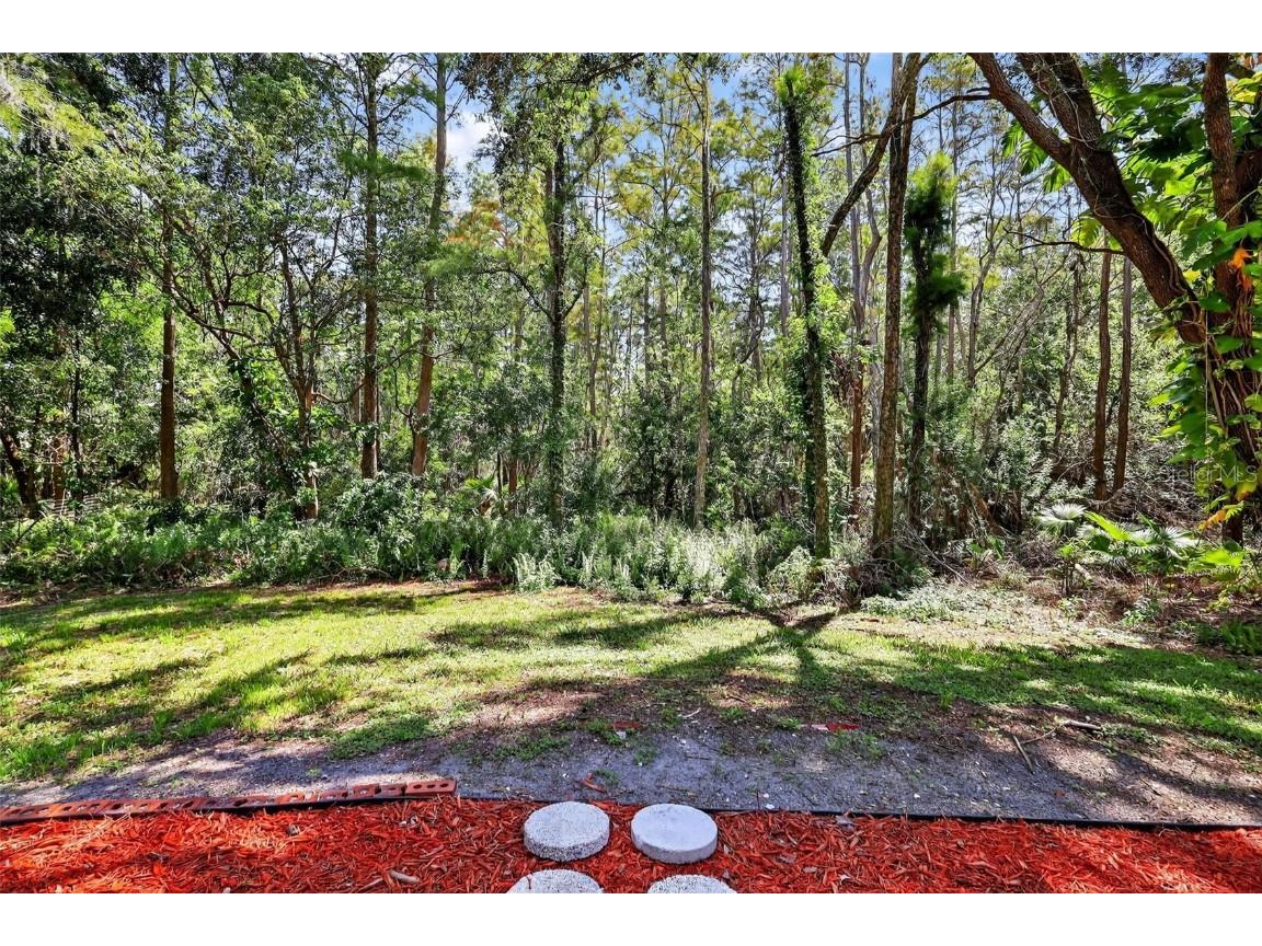 16133 Ravendale Drive Tampa FL 33618 TB8399976 image8