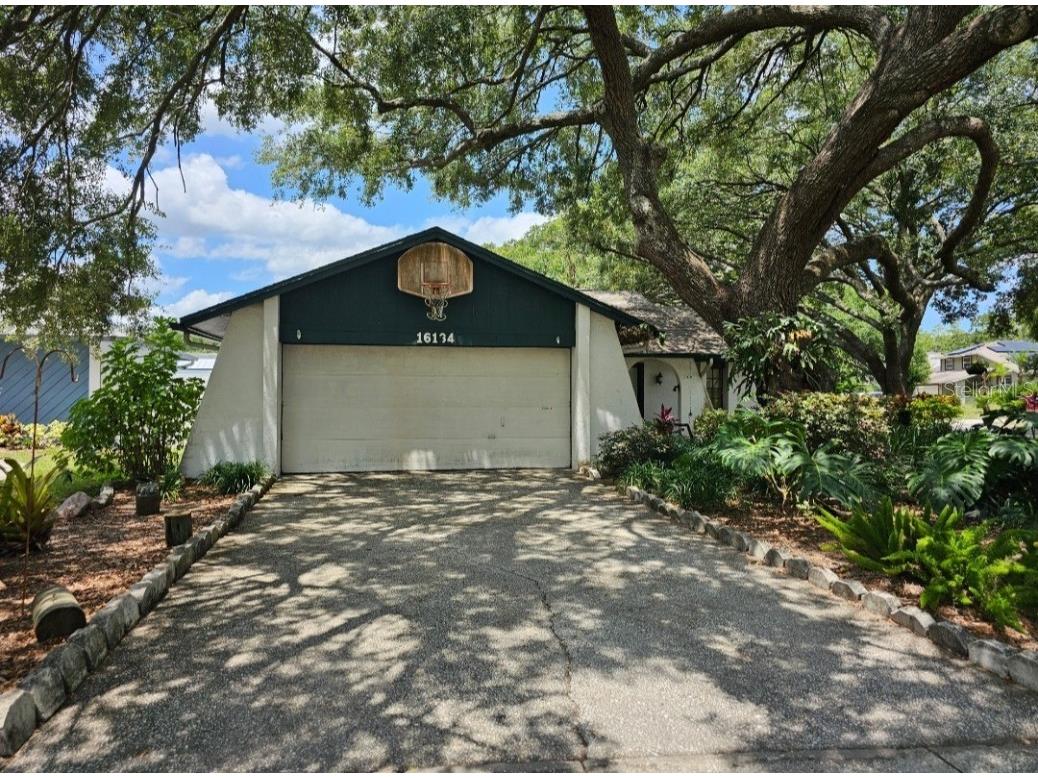 16134 Ravendale Drive Tampa FL 33618 TB8394404 image1