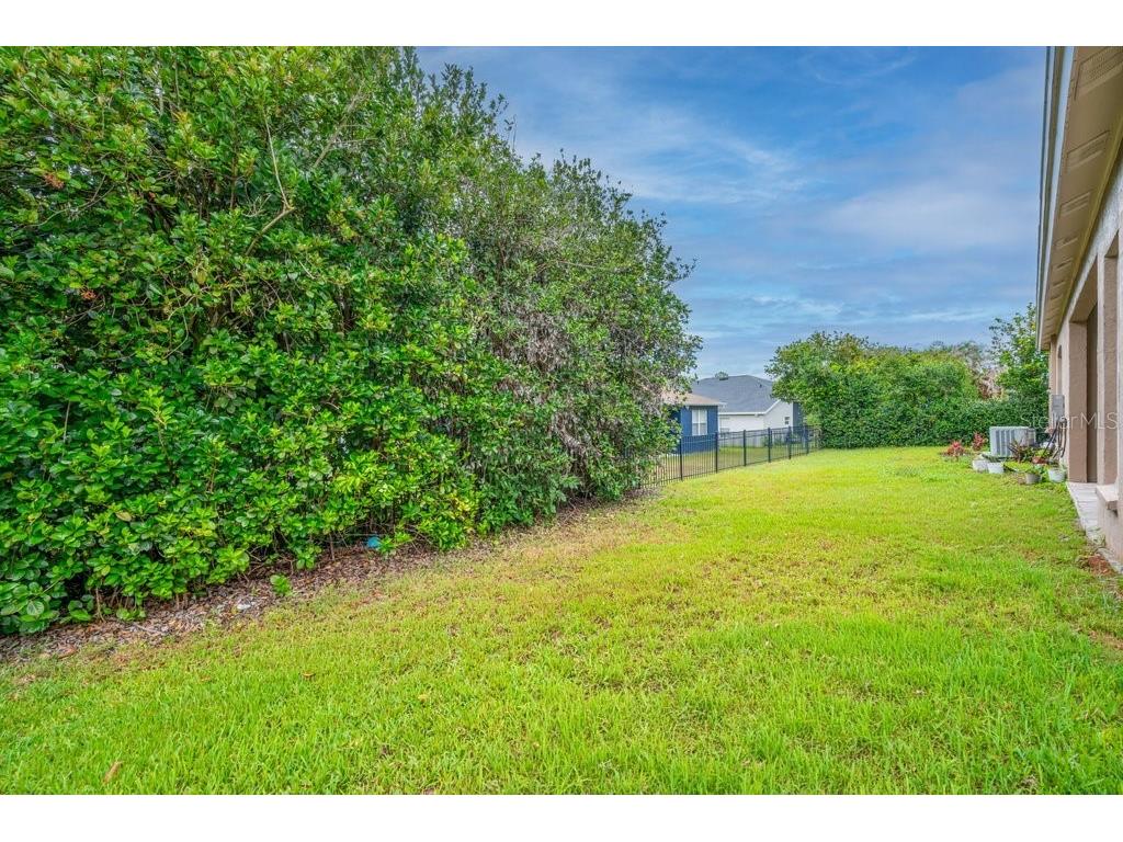16135 Bridgedale Drive Lithia FL 33547 TB8523218 image29