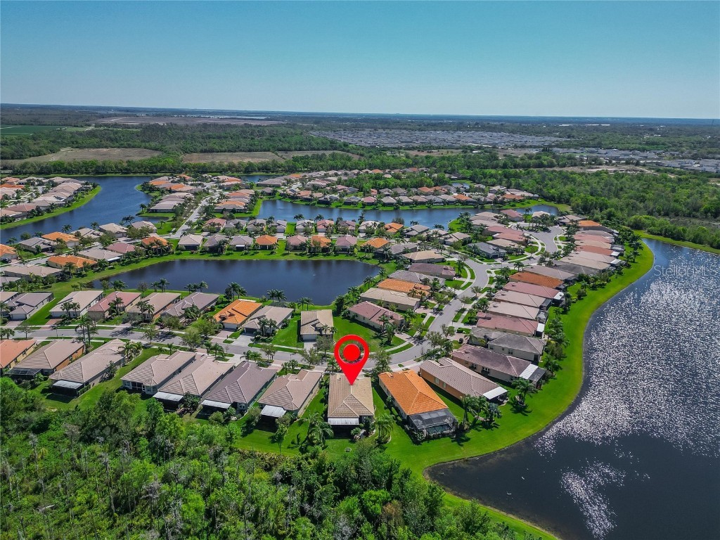 16135 Cape Coral Drive Wimauma FL 33598 TB8348957 image10