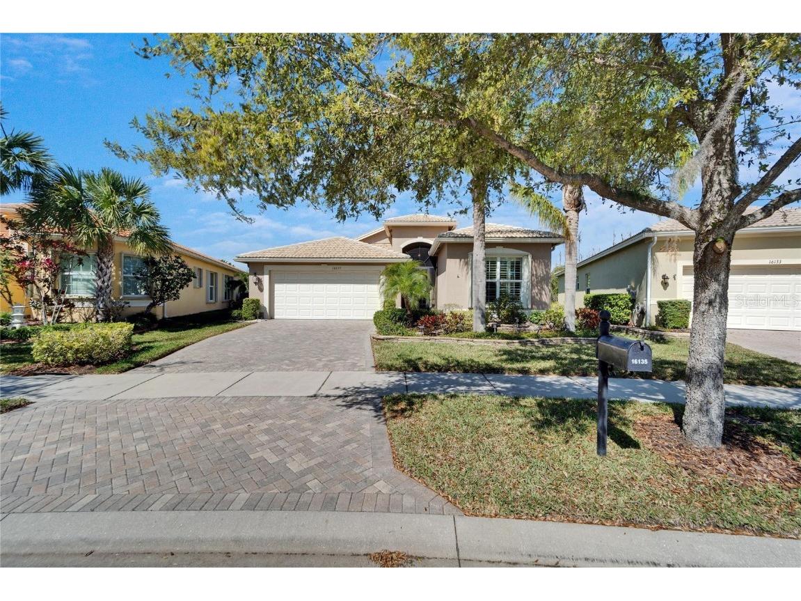 16135 Cape Coral Drive Wimauma FL 33598 TB8348957 image2